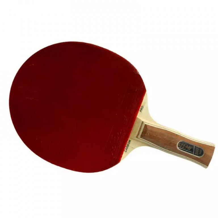 Atemi 3000 table tennis bats