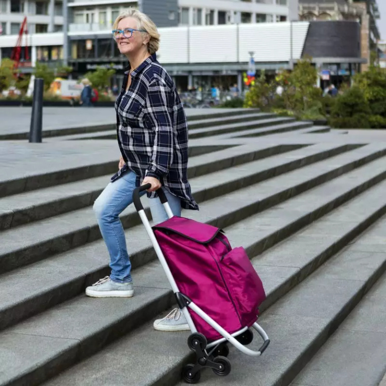 Shopping cart Expert Premium 604352 - Image 6