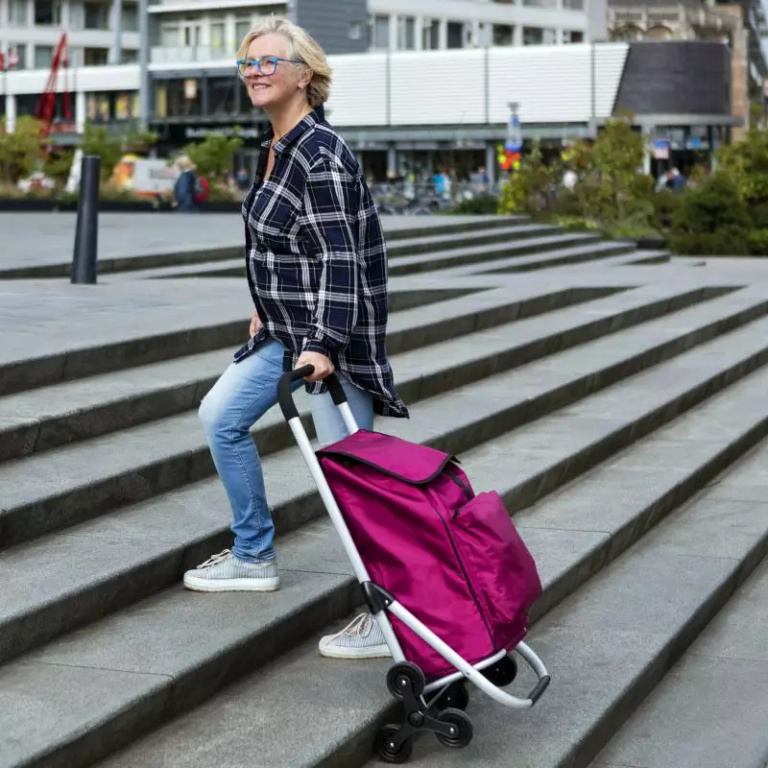 Shopping trolley Expert Premium 604353 - Image 2