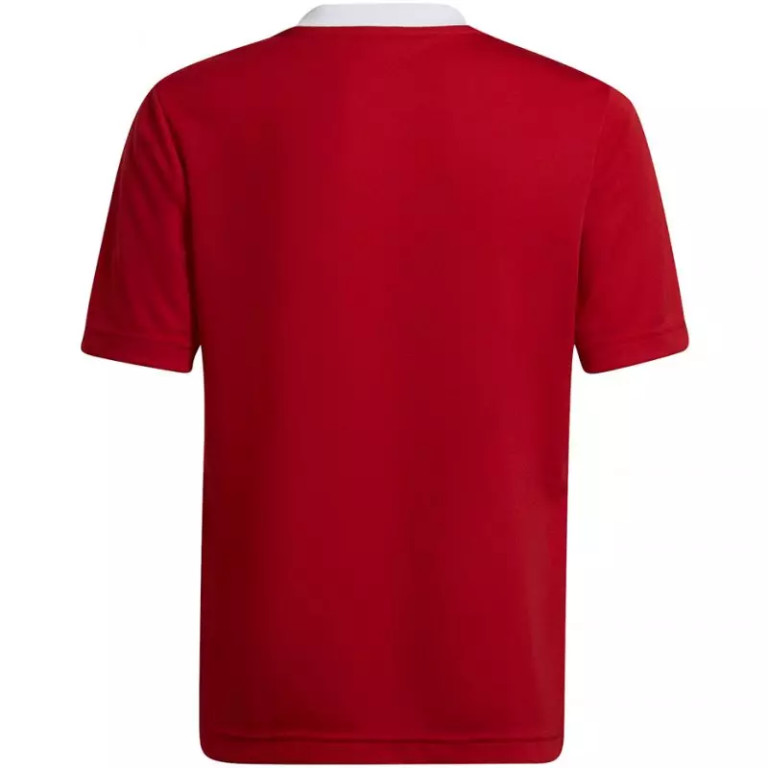 T-shirt adidas Entrada 22 Jsy Jr H57496 - Image 2