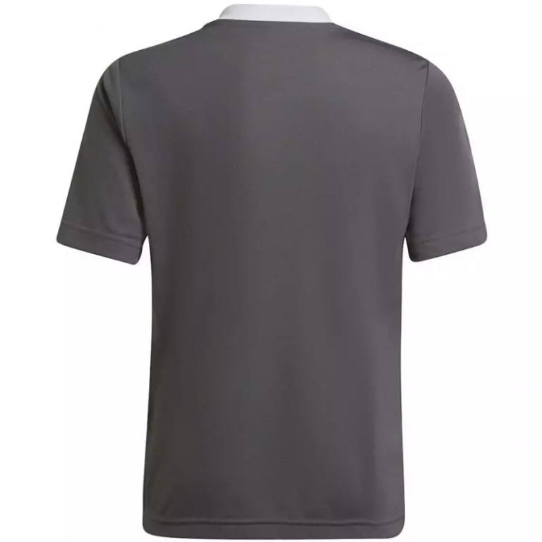 T-shirt adidas Entrada 22 Jsy Jr H57499 - Image 2
