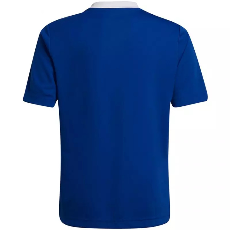 T-shirt adidas Entrada 22 Jsy Jr HG3948 - Image 2