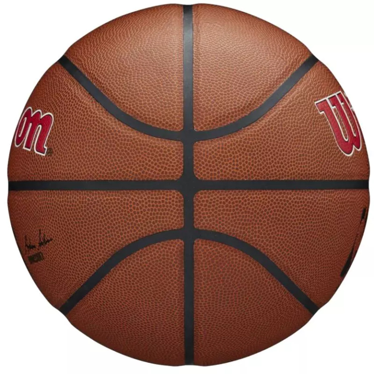 Wilson Team Alliance Toronto Raptors Ball WTB3100XBTOR - Image 4