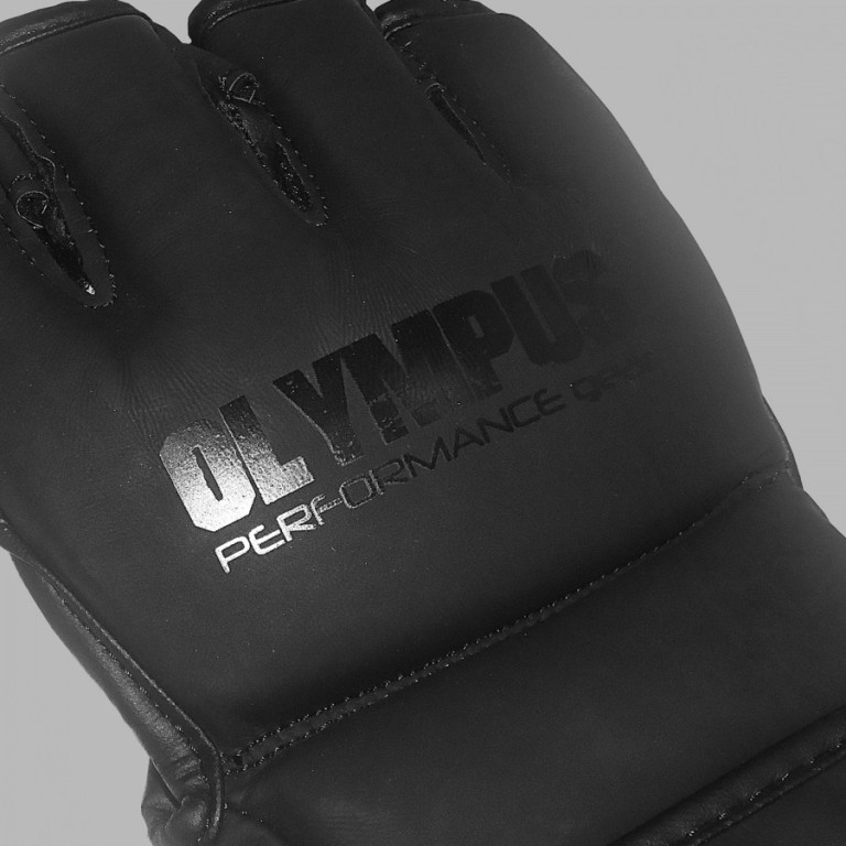 MMA Γάντια Olympus Αντίχειρα CHAOS Matt PU - Image 2
