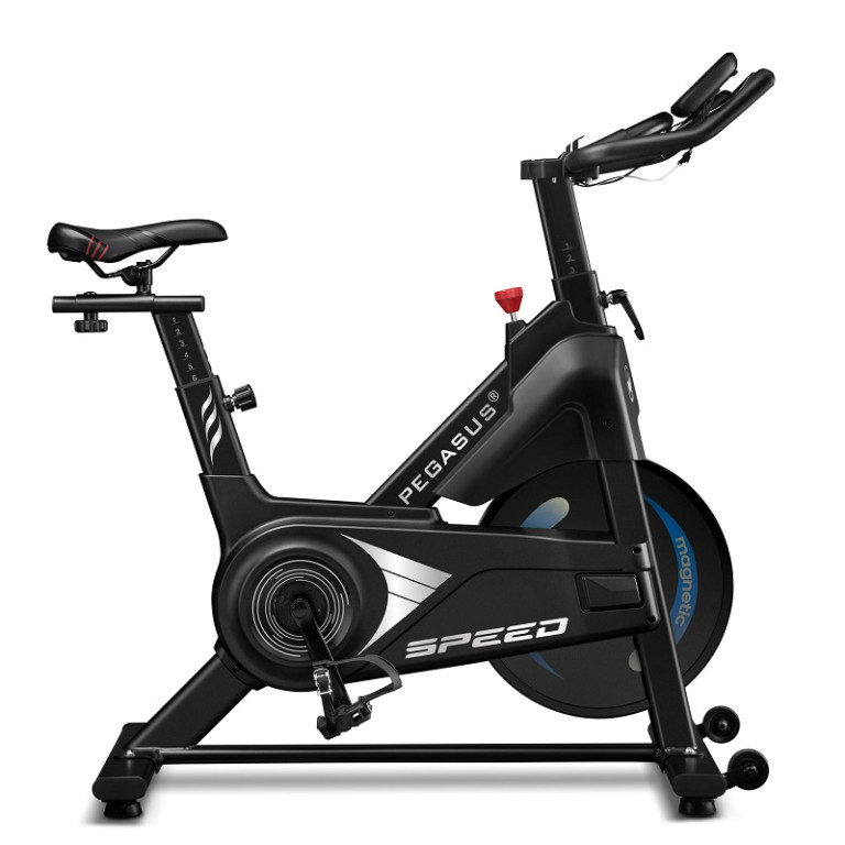 Ποδήλατο Γυμναστικής Μαγνητικό Spin Bike Speed Pegasus