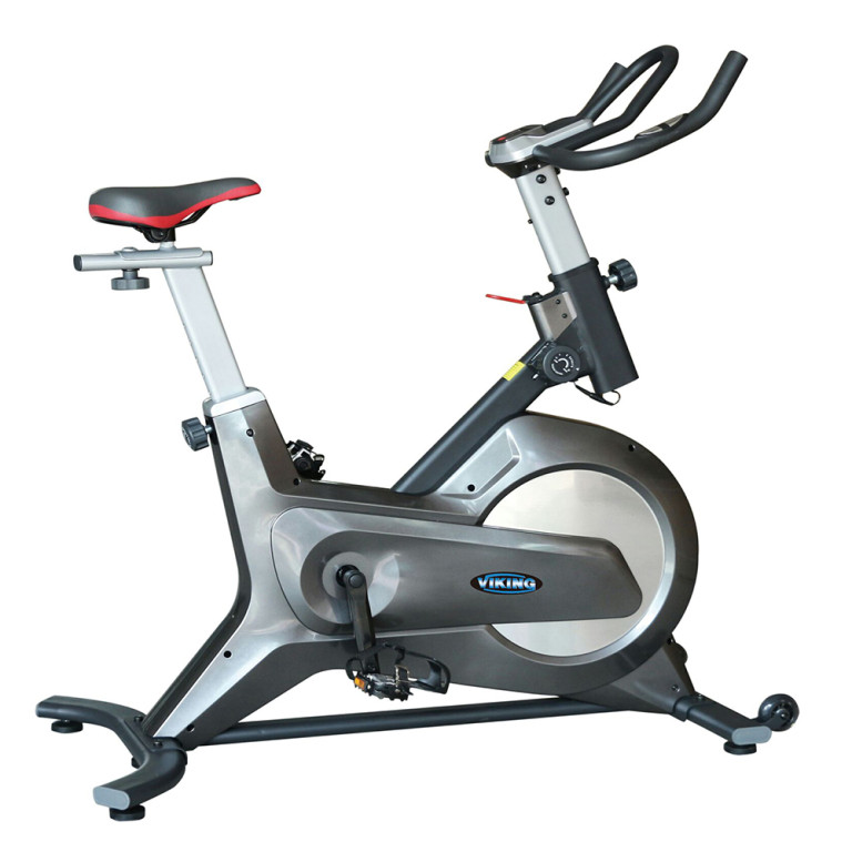 Ποδήλατο VIKING Spin Bike V-2 Magnet