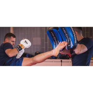 Boxing gloves Yakmaspor lion 14 oz 10034214OZ - Image 5