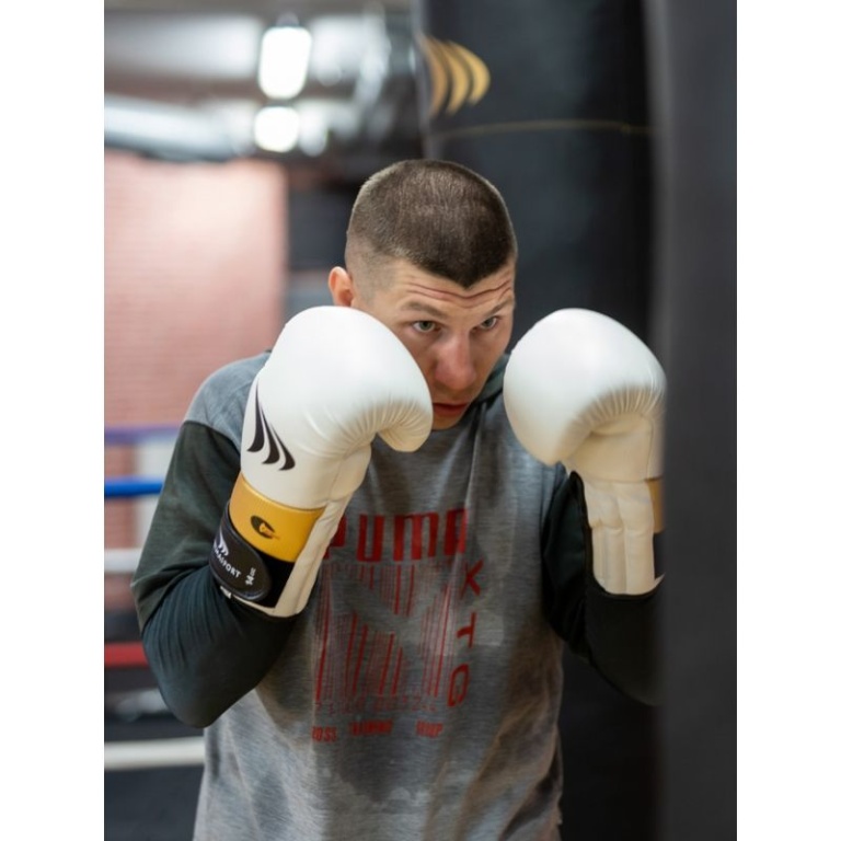 Boxing gloves Yakmaspor lion 14 oz 10034214OZ - Image 8