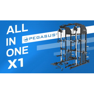 Πολυόργανο Γυμναστικής All-In-One Trainer Pegasus X1 - Image 8
