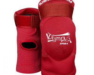Επιαγκωνίδες Olympus THAI Competition