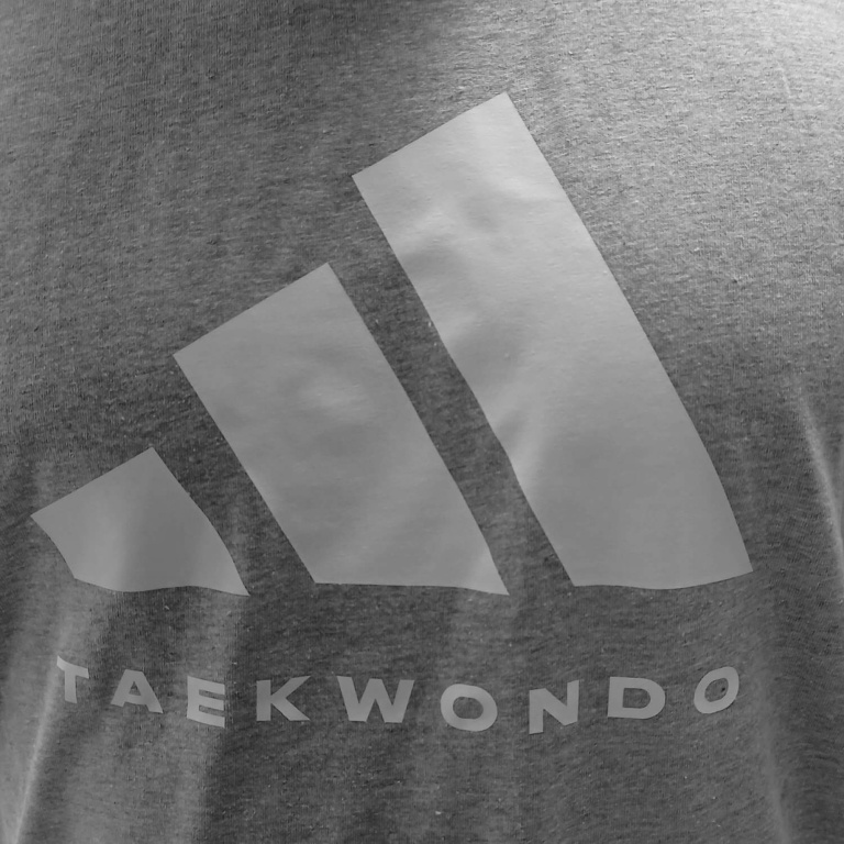 T-shirt Adidas Taekwondo Γκρι COMMUNITY GRAPHIC - Image 3