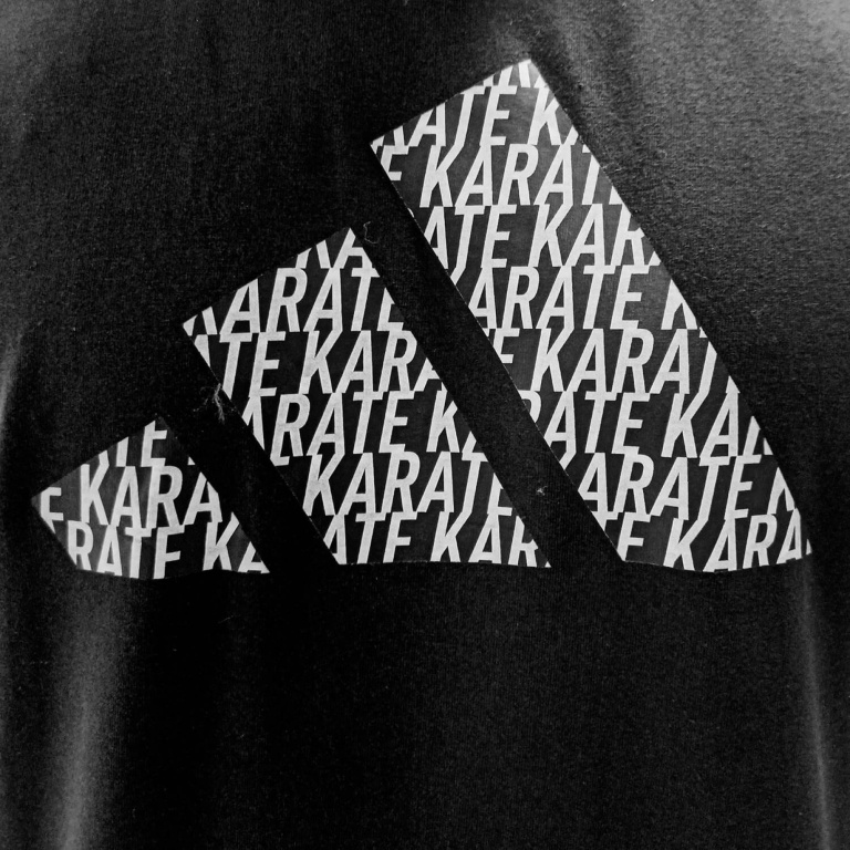 Adidas Μπλουζάκι Καράτε COMMUNITY PERFO SCRIPT GRAPHIC - Image 4
