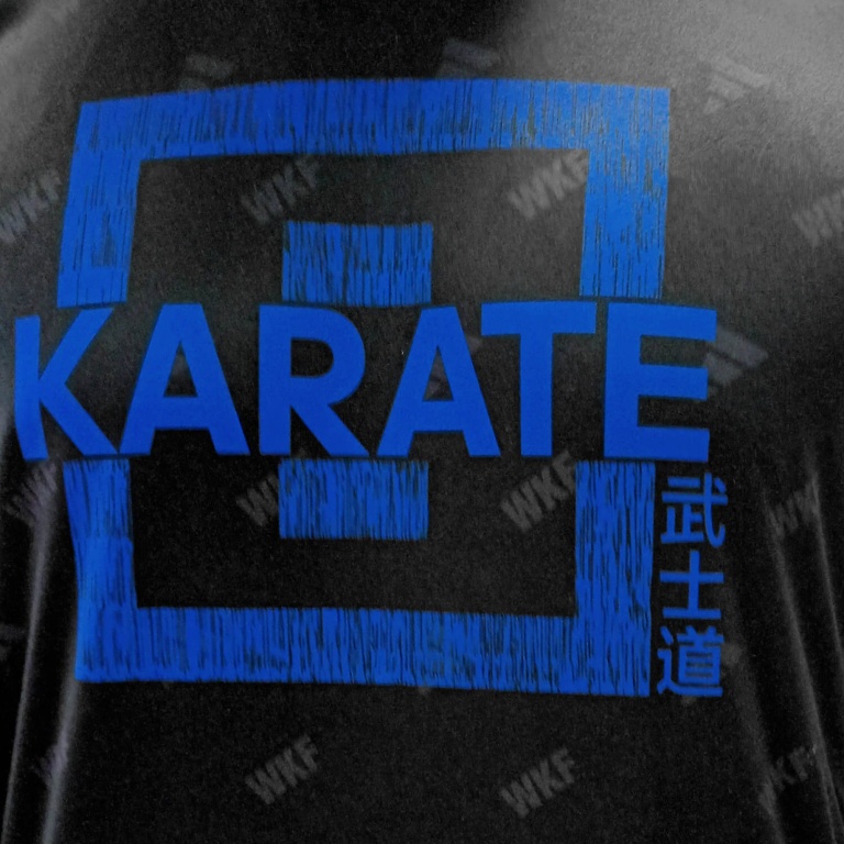 Μπλουζάκι T-shirt Adidas TECH WKF - Image 3