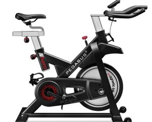 Μαγνητικό Ποδήλατο Pegasus Spin Bike Aero