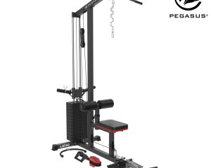 Pegasus Τροχαλία Πλάτης LAT-60 Λ-5060