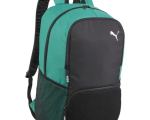 Puma Team Goal Premium