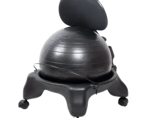 Μπάλα Γυμναστικής Καρέκλα inSPORTline G-Chair