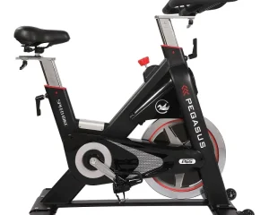 Ποδήλατο Γυμναστικής PG5 Spin Bike Ημιεπαγγελματικό Pegasus