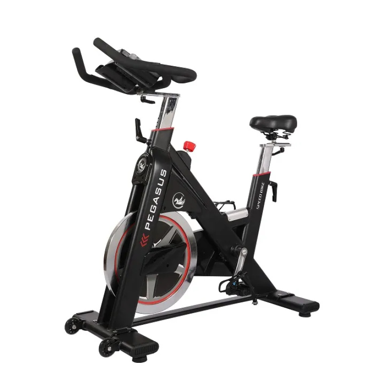 Ποδήλατο Γυμναστικής PG5 Spin Bike Ημιεπαγγελματικό Pegasus - Image 2
