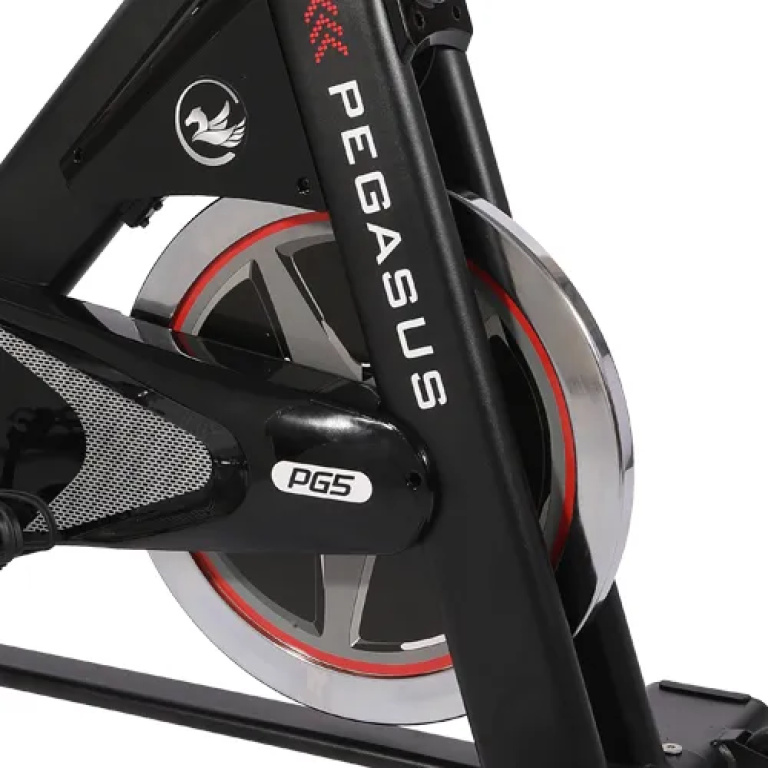 Ποδήλατο Γυμναστικής PG5 Spin Bike Ημιεπαγγελματικό Pegasus - Image 4
