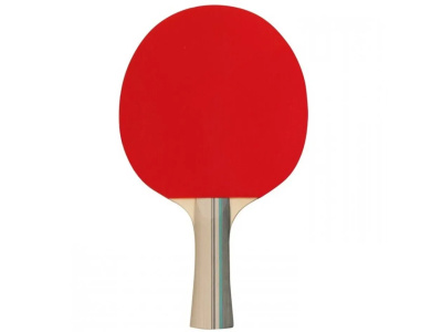 Ρακέτα Ping Pong 2 Stars Get and Go 61UF