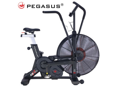 Επαγγελματικό Ποδήλατο Air Bike AB2 Pegasus