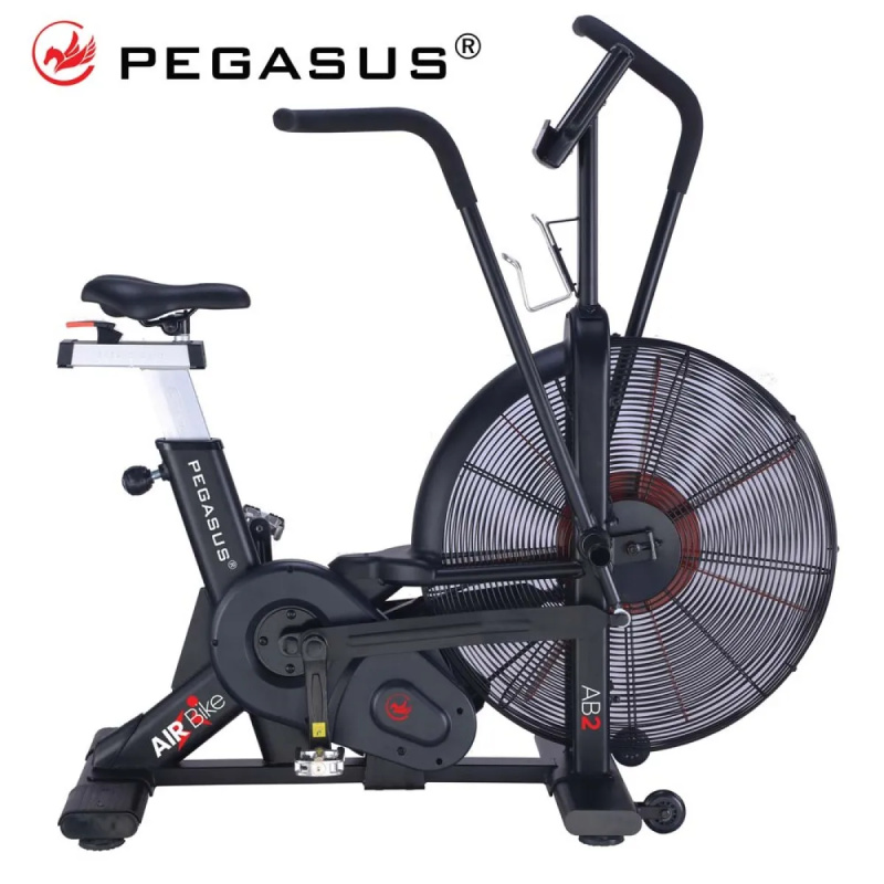 Επαγγελματικό Ποδήλατο Air Bike AB2 Pegasus