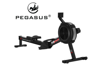 Κωπηλατική Air Rower AR03 Επαγγελματική Pegasus