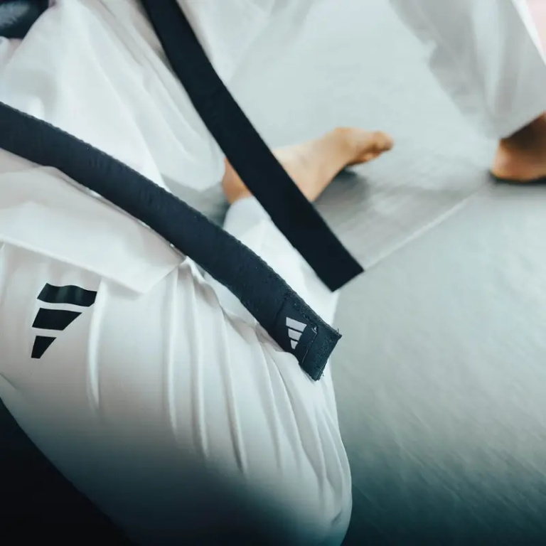 Taekwondo Στολή adidas ADIFIGHTER PRO - adiTOGF03 - Image 9