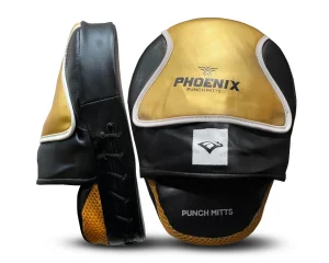 Στόχοι Προπόνησης EBX Phoenix Mitts