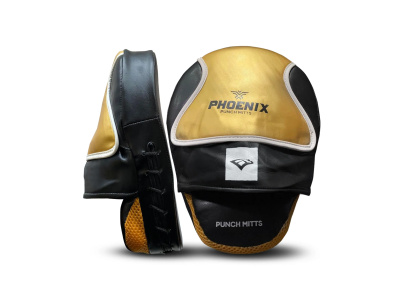 Στόχοι Προπόνησης EBX Phoenix Mitts