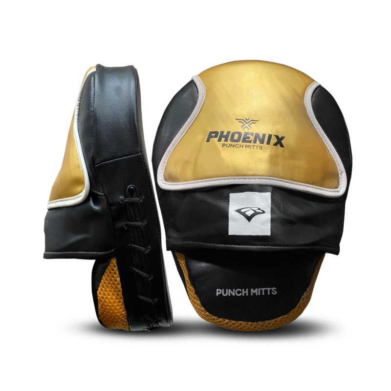 Στόχοι Προπόνησης EBX Phoenix Mitts