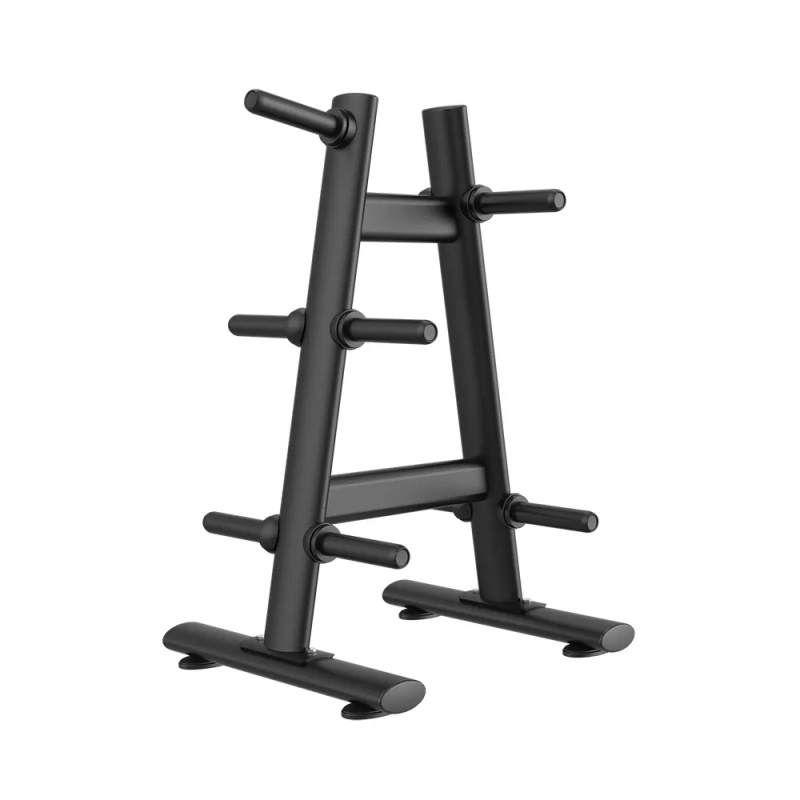 Επαγγελματική Βάση Δίσκων H-41 Weight Plate Tree Viking Black Line