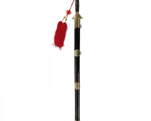 Tai Ji Jian Σπαθί Ίσιο LONGGUAN ΑΓΩΝΙΣΤΙΚΟ