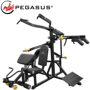 Pegasus PG-167 Πολυόργανο Γυμναστικής 3 Ατόμων