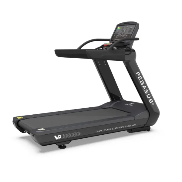Ηλεκτρικός Διάδρομος Pegasus V9 5.0ΗΡ AC
