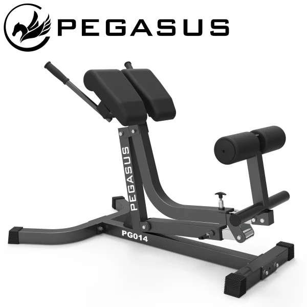 Πάγκος Ραχιαίων Ρυθμιζόμενος Pegasus PG-014 - Image 2