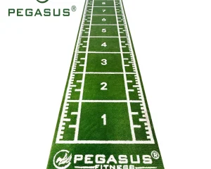 Συνθετικός Χλοοτάπητας 2x11m Pegasus 3159