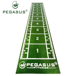 Συνθετικός Χλοοτάπητας 2x11m Pegasus 3159