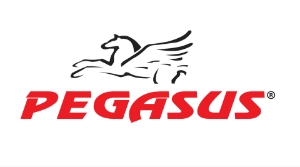 PEGASUS
