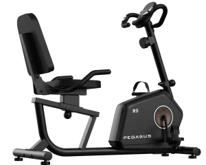 Καθιστό Ποδήλατο Γυμναστικής R5 Pegasus