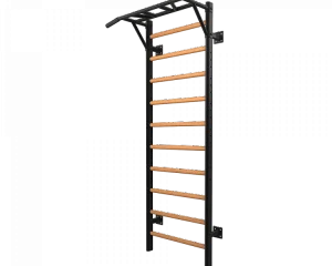 Επαγγελματικό Πολύζυγο Multifunctional Ladder LDX-3000 TOORX