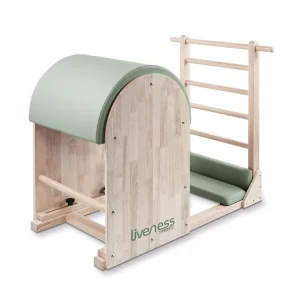 Ladder Barrel PTX-1900 LIVENESS TOORX