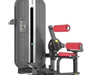 Viking Μηχάνημα Κοιλιακών & Ραχιαίων MCF0910