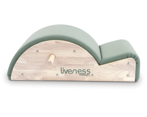 Spine Corrector PTX-1700G LIVENESS TOORX