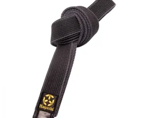 Ζώνη Πολεμικών Τεχνών Hayashi STONE Washed