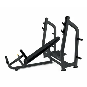 Επαγγελματικός Επικλινής Πάγκος TOORX WBX-B3800