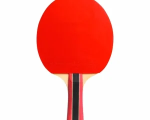 Ρακέτα Πινγκ Πονγκ Cornilleau Sport 433000