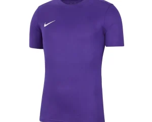 Nike Park VII Ανδρικό T-shirt  Dri-Fit Μωβ BV6708-547