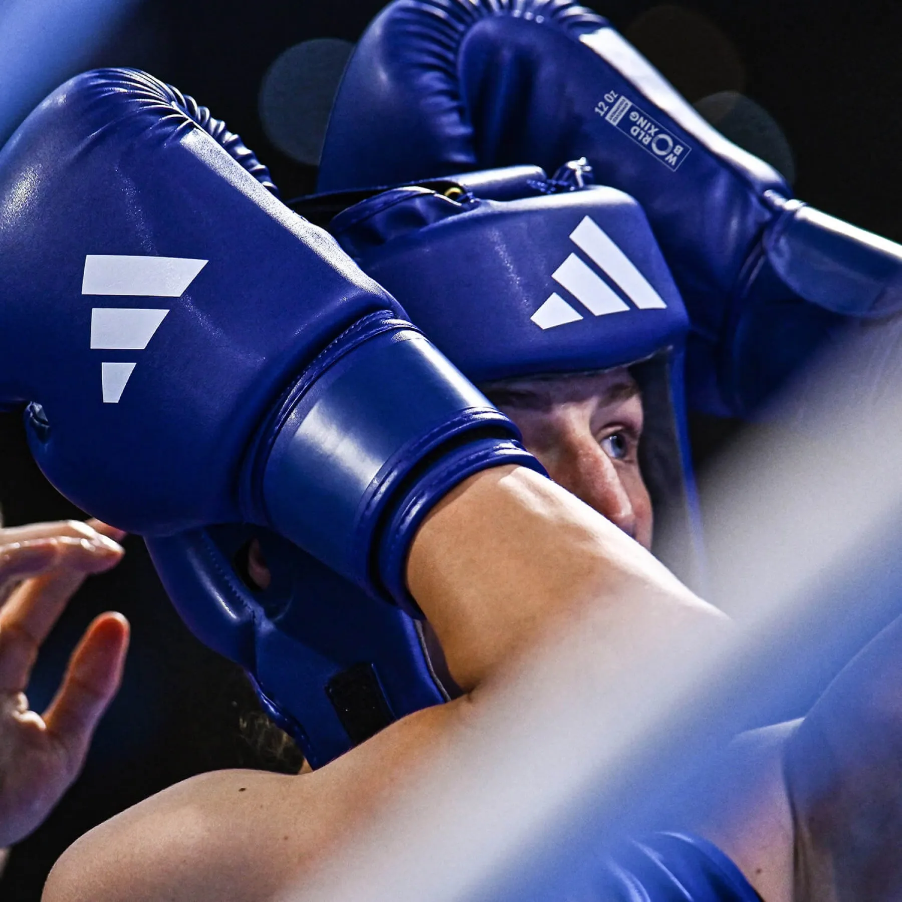Πυγμαχικά Γάντια adidas WORLD BOXING Licensed WOBBG1 - Blue - Image 8